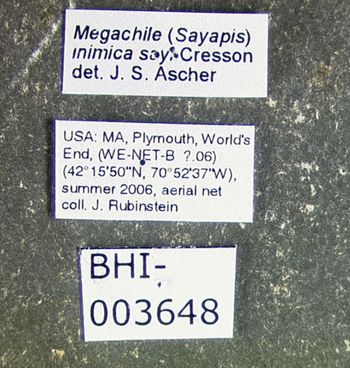 Media type: image;   Entomology 610873 Aspect: labels